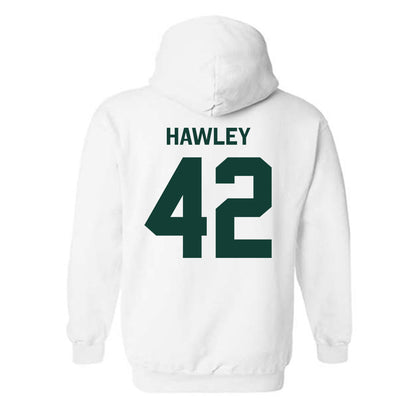 Michigan State - NCAA Softball : Hannah Hawley - Classic Shersey Hooded Sweatshirt-1