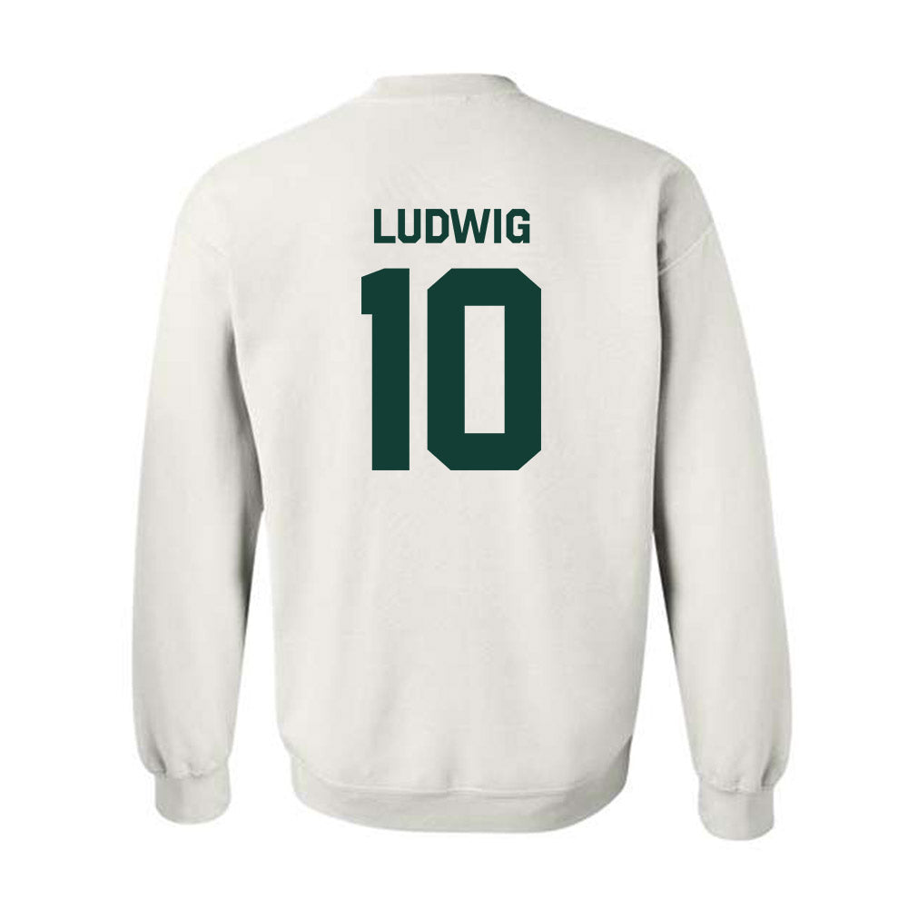 Michigan State - NCAA Men's Soccer : Richie Ludwig - Classic Shersey Crewneck Sweatshirt-1