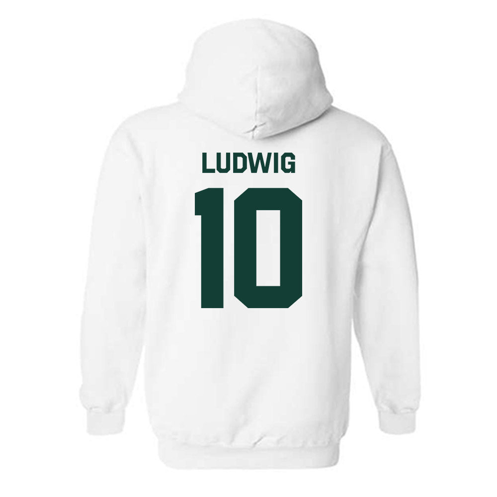 Michigan State - NCAA Men's Soccer : Richie Ludwig - Classic Shersey Hooded Sweatshirt-1