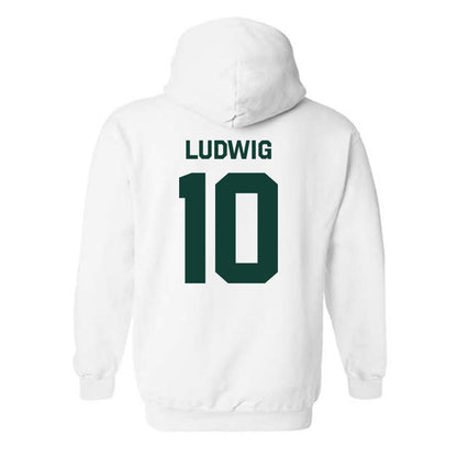 Michigan State - NCAA Men's Soccer : Richie Ludwig - Classic Shersey Hooded Sweatshirt-1