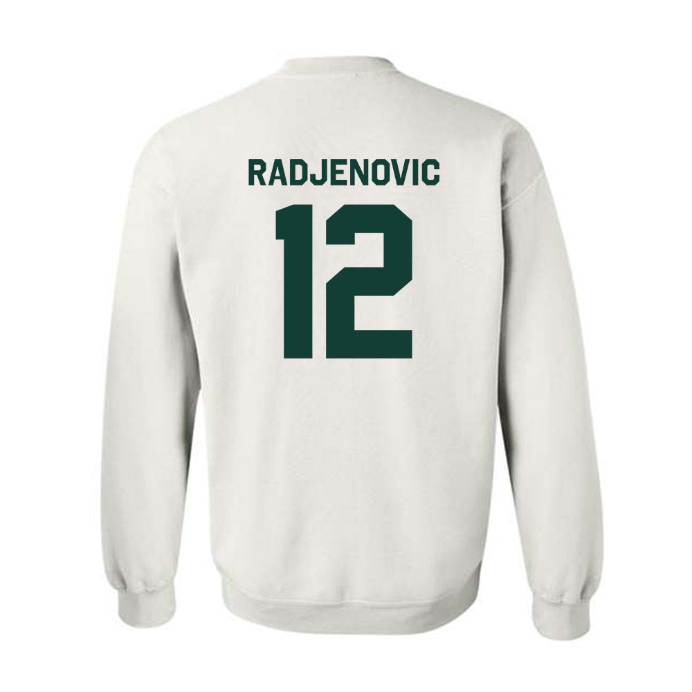 Michigan State - NCAA Men's Tennis : Vuk Radjenovic - Classic Shersey Crewneck Sweatshirt-1