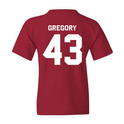 Indiana - NCAA Softball : Megan Gregory - Classic Shersey Youth T-Shirt-1