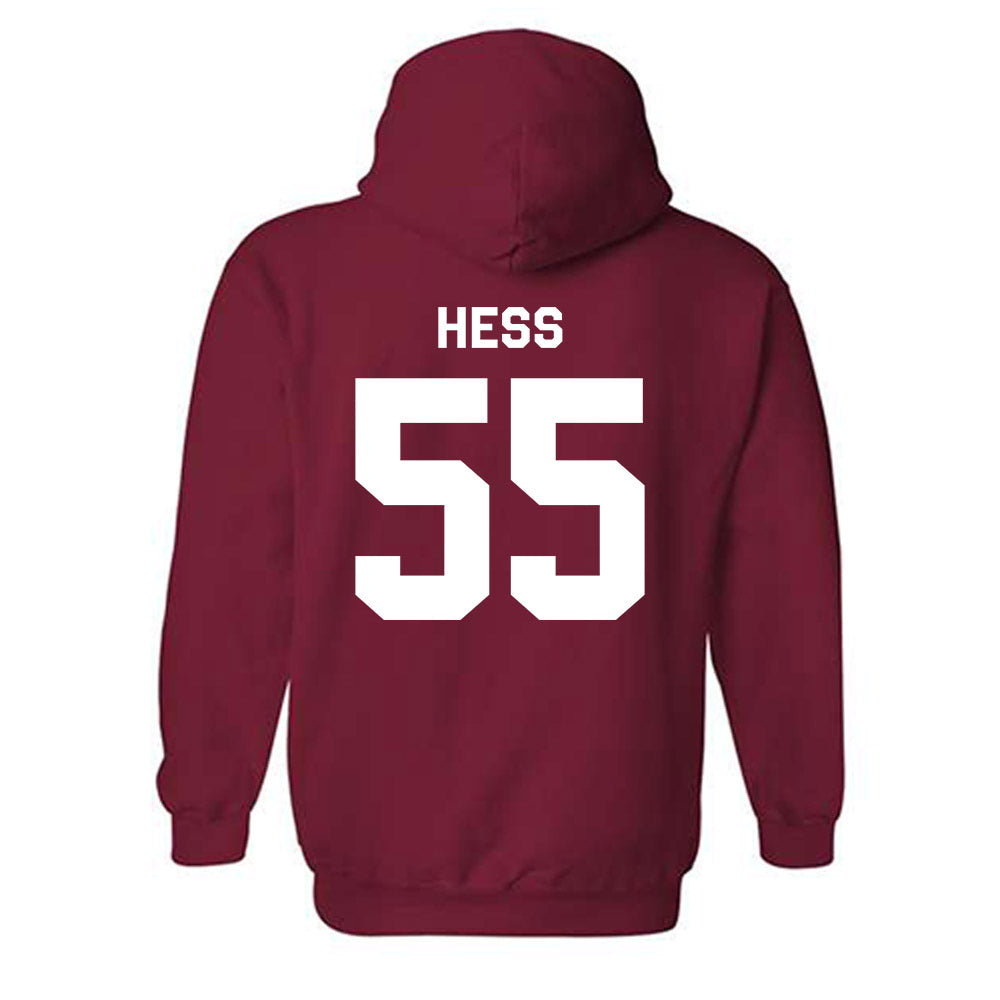 Indiana - NCAA Softball : Taylor Hess - Classic Shersey Hooded Sweatshirt-1