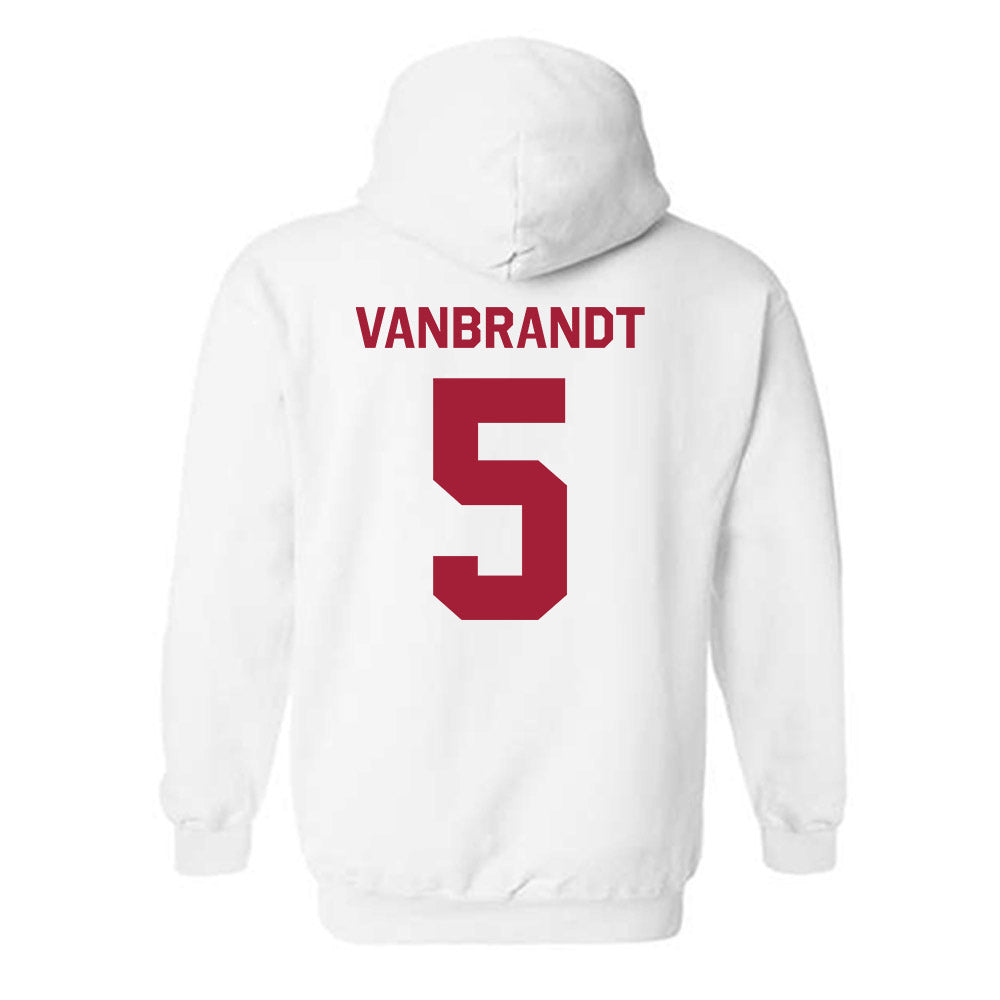 Indiana - NCAA Softball : Aly VanBrandt - Classic Shersey Hooded Sweatshirt-1