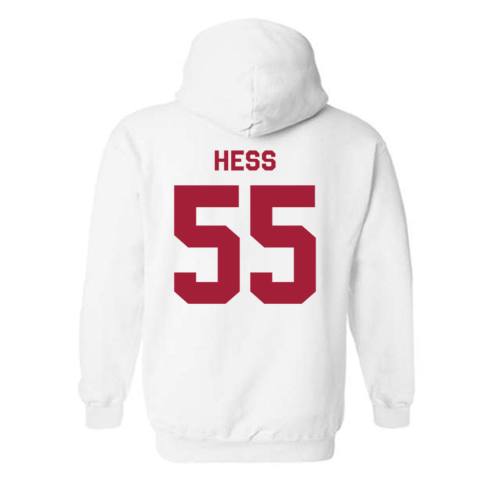 Indiana - NCAA Softball : Taylor Hess - Classic Shersey Hooded Sweatshirt-1