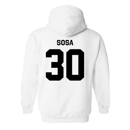 Purdue - NCAA Softball : Gabriela Sosa - Classic Shersey Hooded Sweatshirt-1