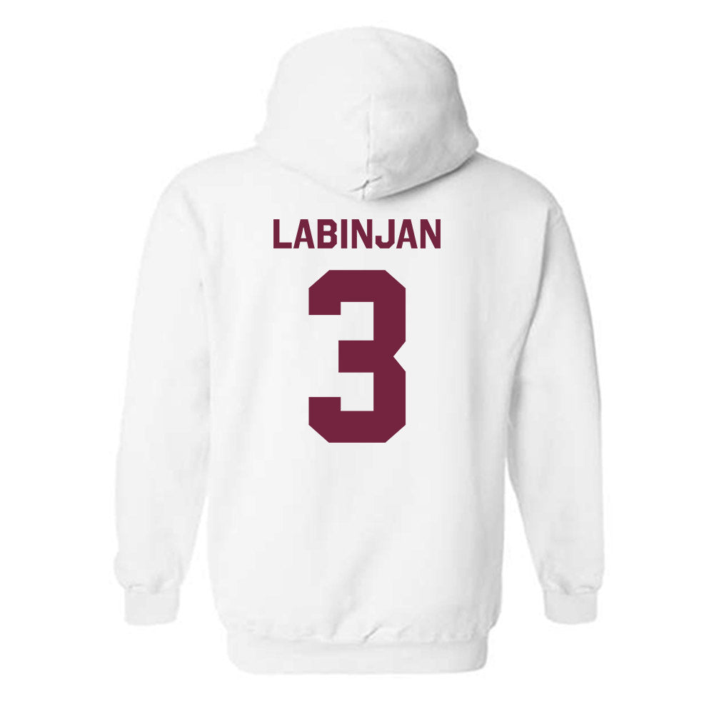 Arizona State - NCAA Women's Volleyball : Ziva Labinjan - Classic Shersey Hooded Sweatshirt-3