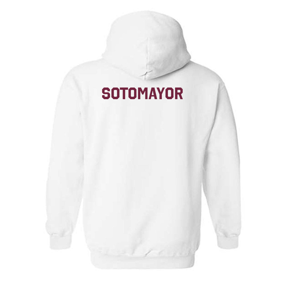 Arizona State - NCAA Women's Swimming & Diving : Alexia Sotomayor - Classic Shersey Hooded Sweatshirt-1
