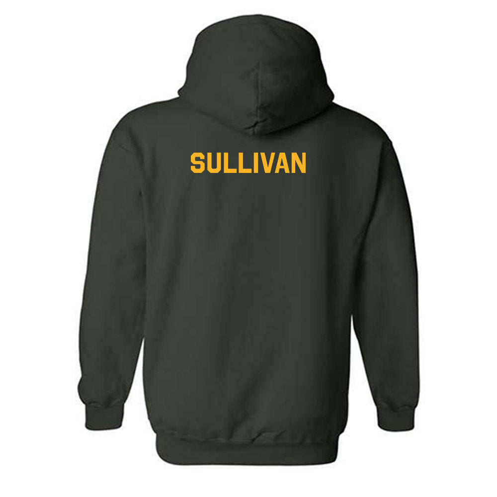 Baylor - NCAA Football : Riley Sullivan - Classic Shersey Hooded Sweatshirt-3