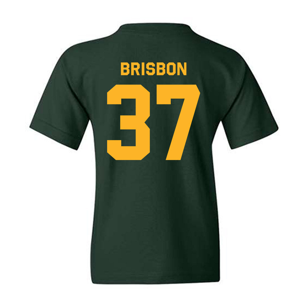 Baylor - NCAA Football : Demetrius Brisbon - Classic Shersey Youth T-Shirt-1