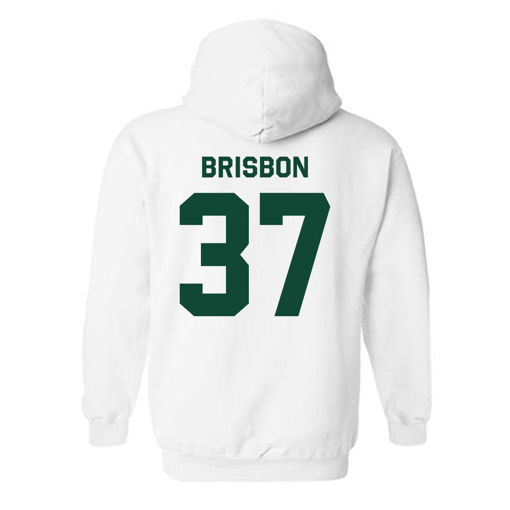 Baylor - NCAA Football : Demetrius Brisbon - Classic Shersey Hooded Sweatshirt-1