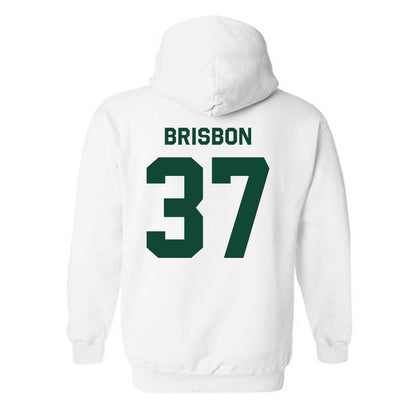 Baylor - NCAA Football : Demetrius Brisbon - Classic Shersey Hooded Sweatshirt-1