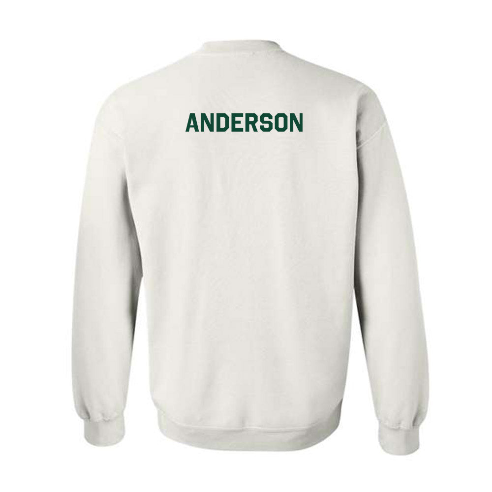 Baylor - NCAA Men's Tennis : Blake Anderson - Classic Shersey Crewneck Sweatshirt-1