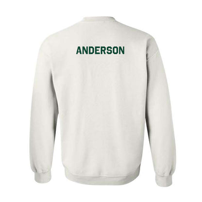 Baylor - NCAA Men's Tennis : Blake Anderson - Classic Shersey Crewneck Sweatshirt-1