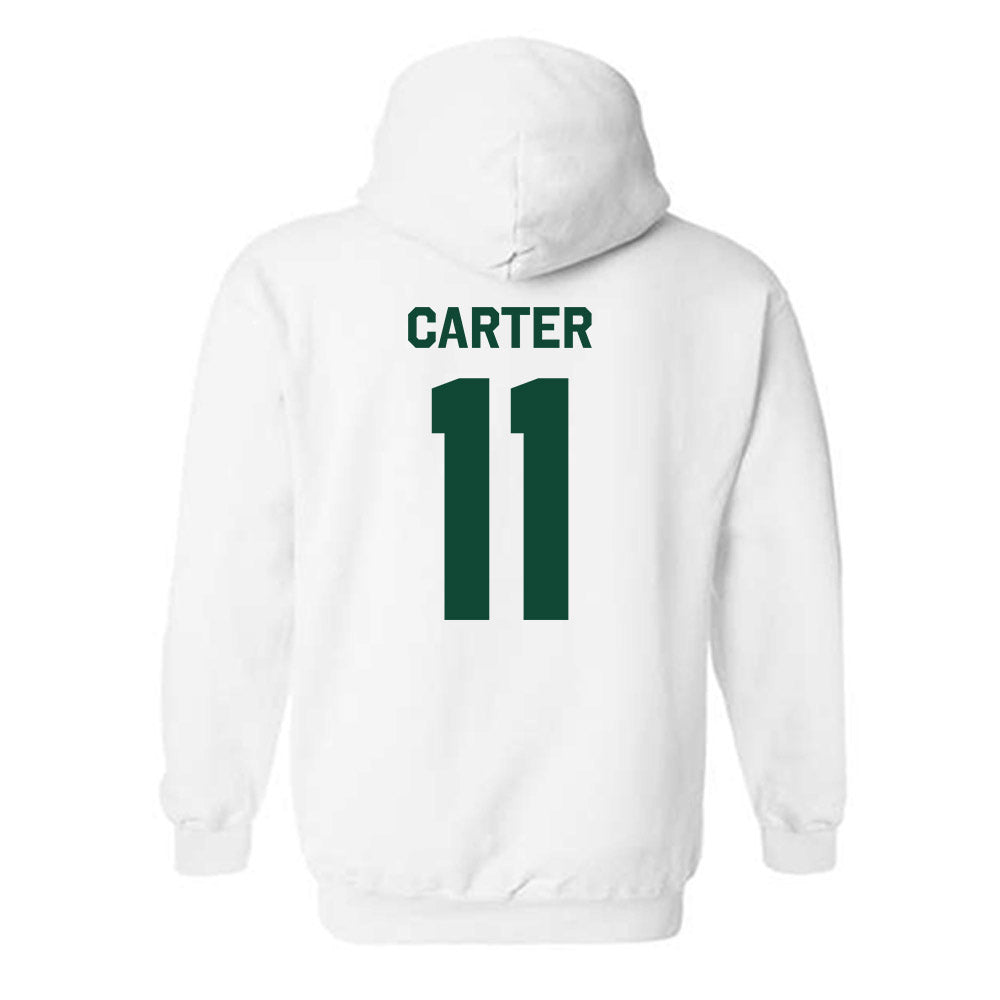 Baylor - NCAA Softball : Brooklyn Carter - Classic Shersey Hooded Sweatshirt-1