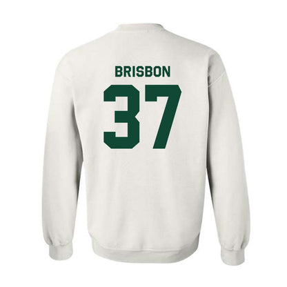 Baylor - NCAA Football : Demetrius Brisbon - Classic Shersey Crewneck Sweatshirt-1