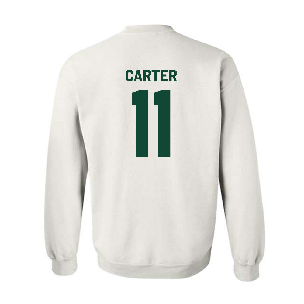 Baylor - NCAA Softball : Brooklyn Carter - Classic Shersey Crewneck Sweatshirt-1