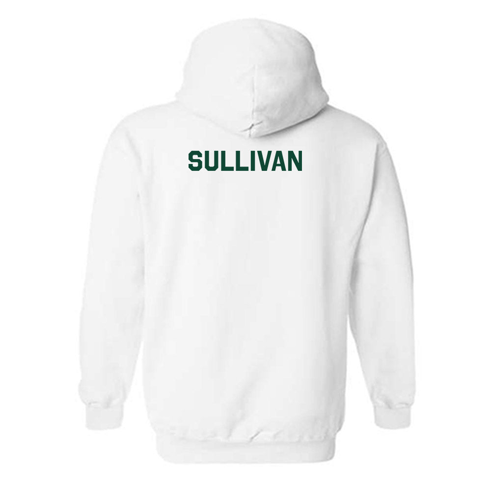Baylor - NCAA Football : Riley Sullivan - Classic Shersey Hooded Sweatshirt-2