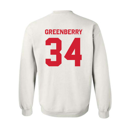 Houston - NCAA Women's Volleyball : tara greenberry - Classic Shersey Crewneck Sweatshirt-1