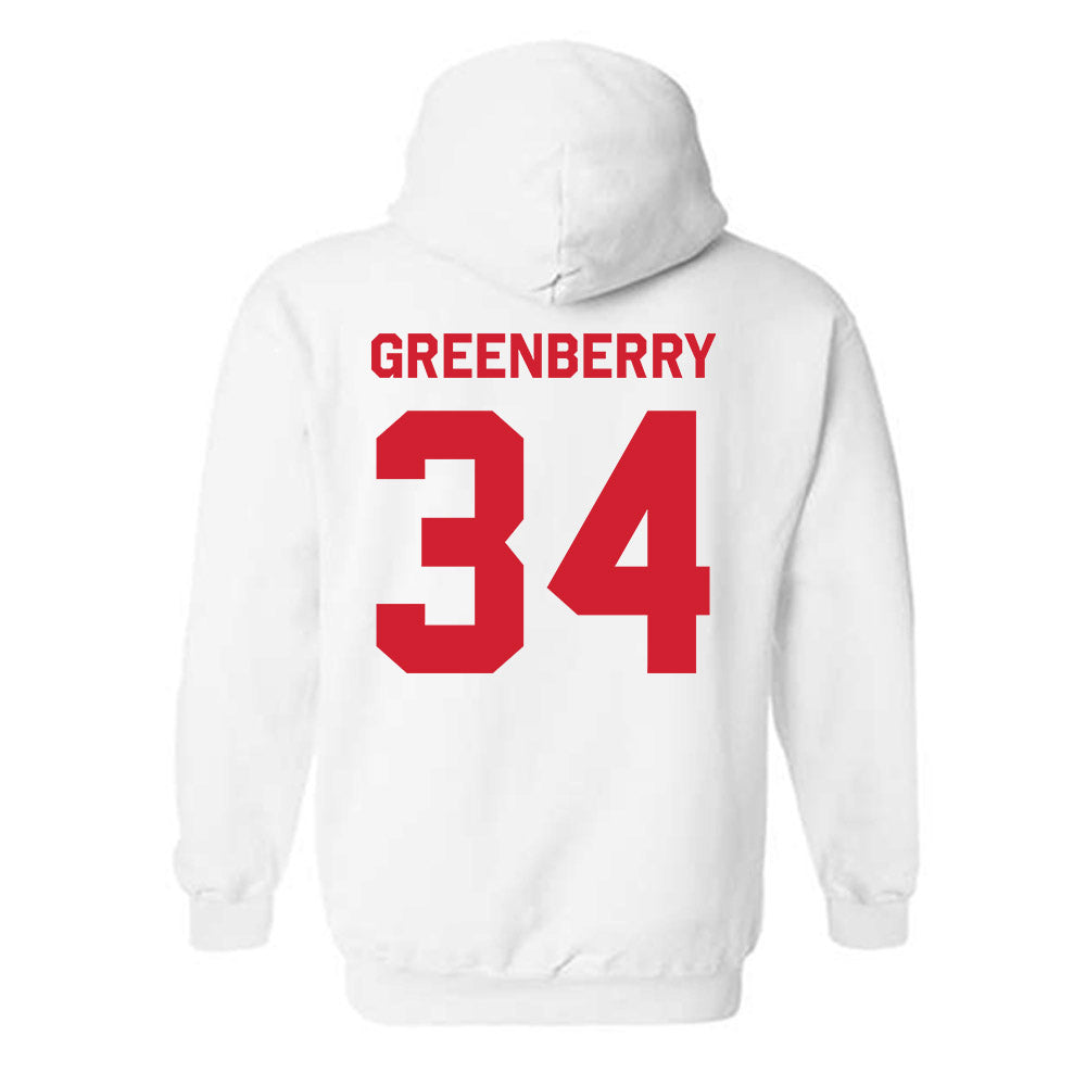Houston - NCAA Women's Volleyball : tara greenberry - Classic Shersey Hooded Sweatshirt-1