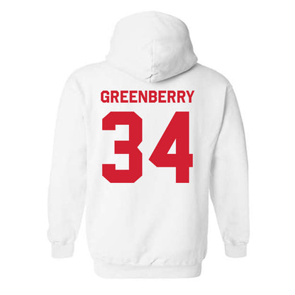 Houston - NCAA Women's Volleyball : tara greenberry - Classic Shersey Hooded Sweatshirt-1