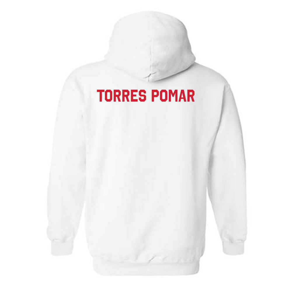 Houston - NCAA Women's Swimming & Diving : Regina Torres Pomar - Classic Shersey Hooded Sweatshirt-1