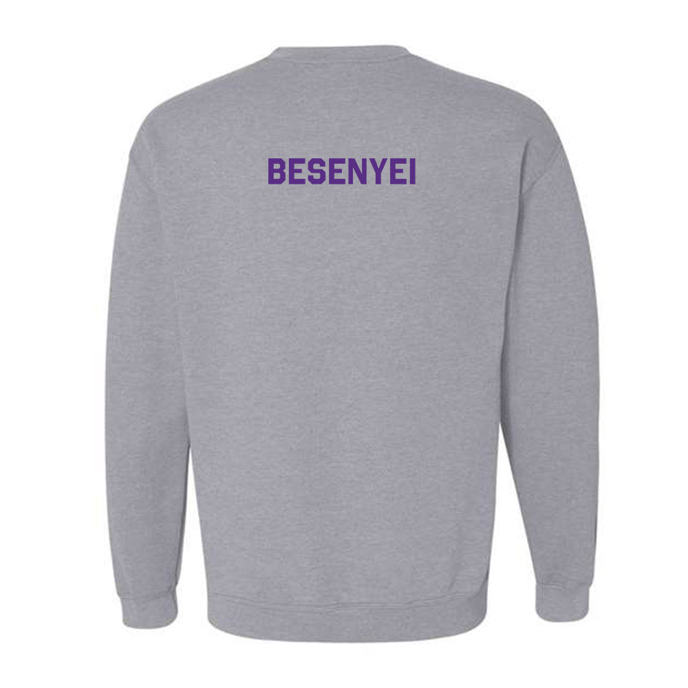 TCU - NCAA Triathlon : Anna Besenyei - Classic Shersey Crewneck Sweatshirt-1