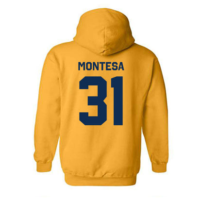 West Virginia - NCAA Baseball : Dawson Montesa - Classic Shersey Hooded Sweatshirt-1