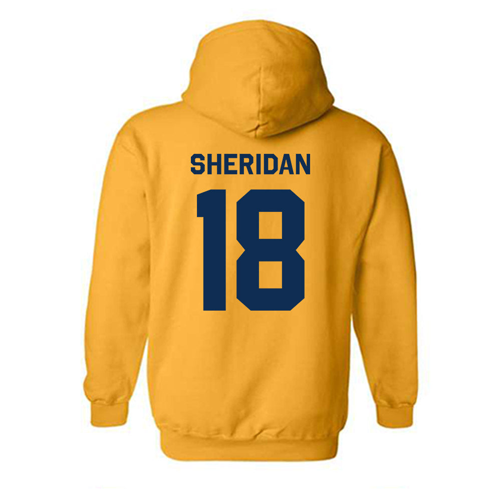 West Virginia - NCAA Women's Volleyball : Trinity Sheridan - Classic Shersey Hooded Sweatshirt-1