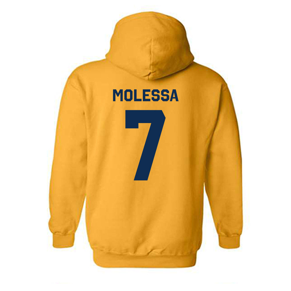 West Virginia - NCAA Baseball : Maxwell Molessa - Classic Shersey Hooded Sweatshirt-1