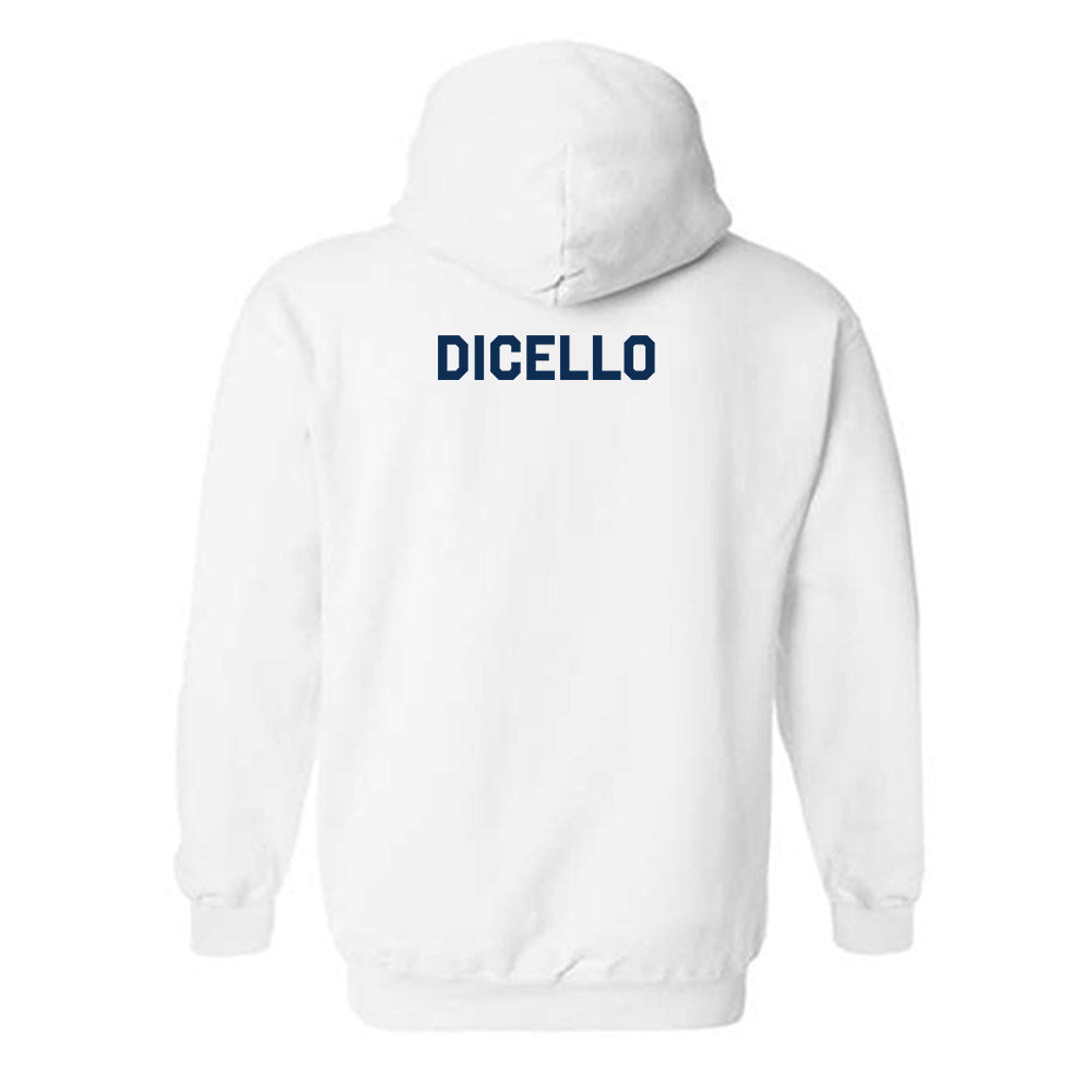 West Virginia - NCAA Women's Gymnastics : Karleigh DiCello - Classic Shersey Hooded Sweatshirt-1