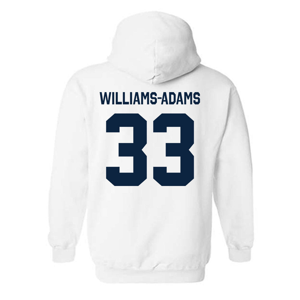 Auburn - NCAA Men's Basketball : Sebastian Williams-Adams - Classic Shersey Hooded Sweatshirt-1