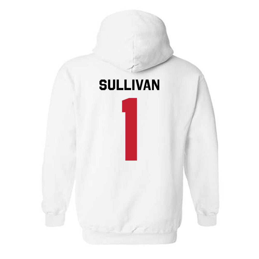 Georgia - NCAA Softball : Delani Sullivan - Classic Shersey Hooded Sweatshirt-1