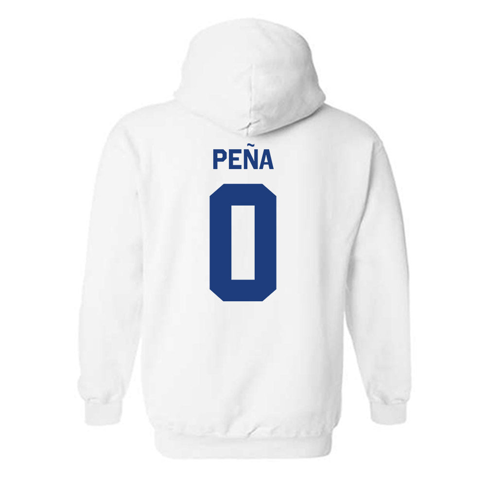 Florida - NCAA Women's Soccer : Paloma Peña - Classic Shersey Hooded Sweatshirt-2