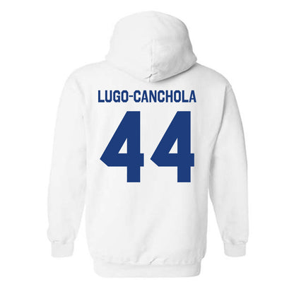 Florida - NCAA Baseball : Ernesto Lugo-Canchola - Classic Shersey Hooded Sweatshirt-1
