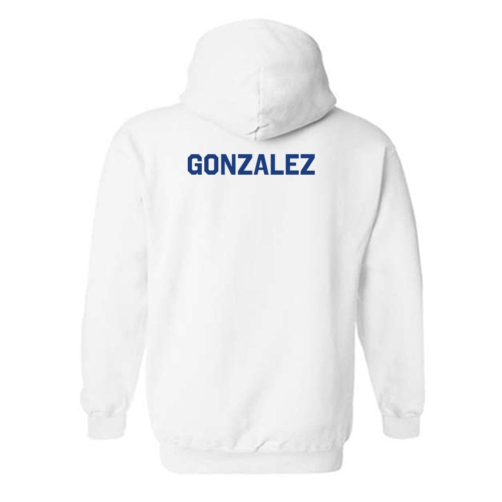 Florida - NCAA Men's Swimming & Diving : Jesus Gonzalez - Classic Shersey Hooded Sweatshirt-1