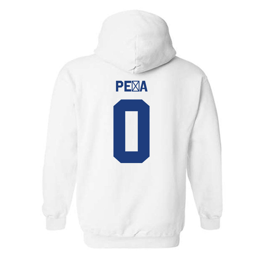 Florida - NCAA Women's Soccer : Paloma Pe�a - Classic Shersey Hooded Sweatshirt-2