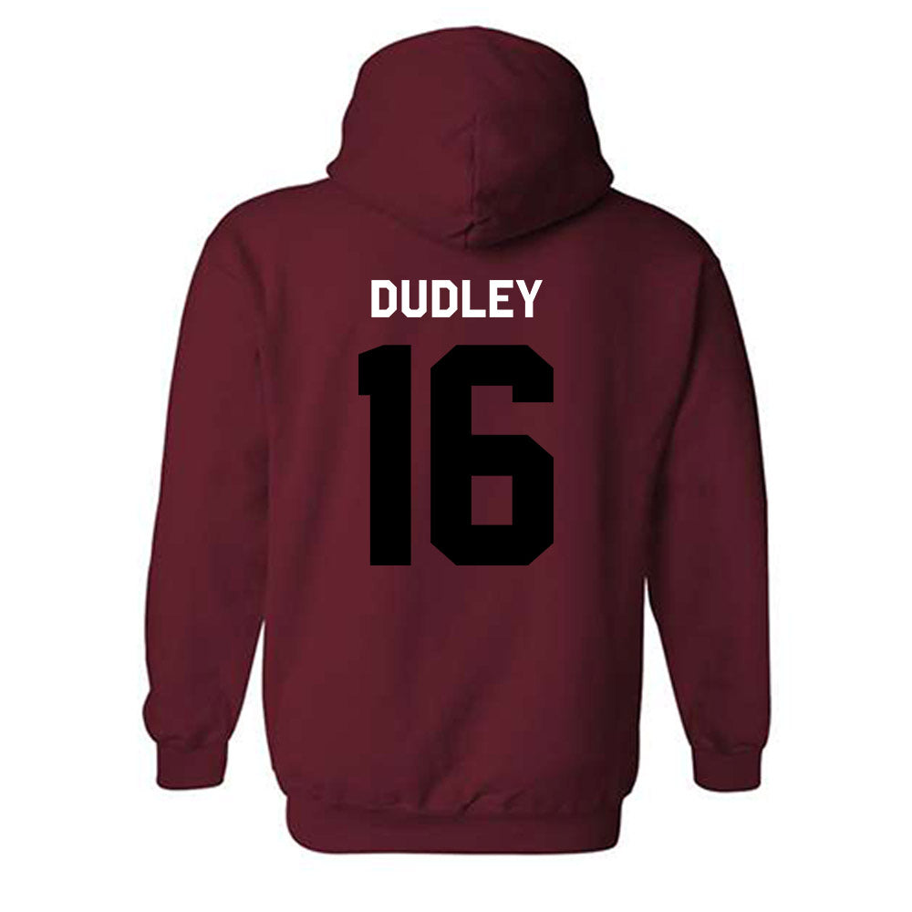 South Carolina - NCAA Baseball : Patrick Dudley - Classic Shersey Hooded Sweatshirt-1