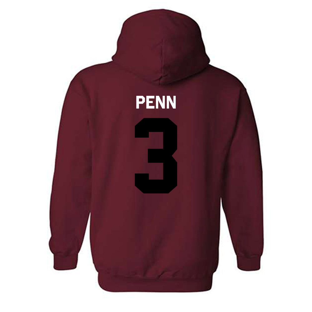 South Carolina - NCAA Women's Volleyball : Maggie Penn - Classic Shersey Hooded Sweatshirt-3