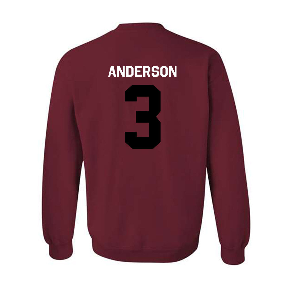 South Carolina - NCAA Softball : Shae Anderson - Classic Shersey Crewneck Sweatshirt-1
