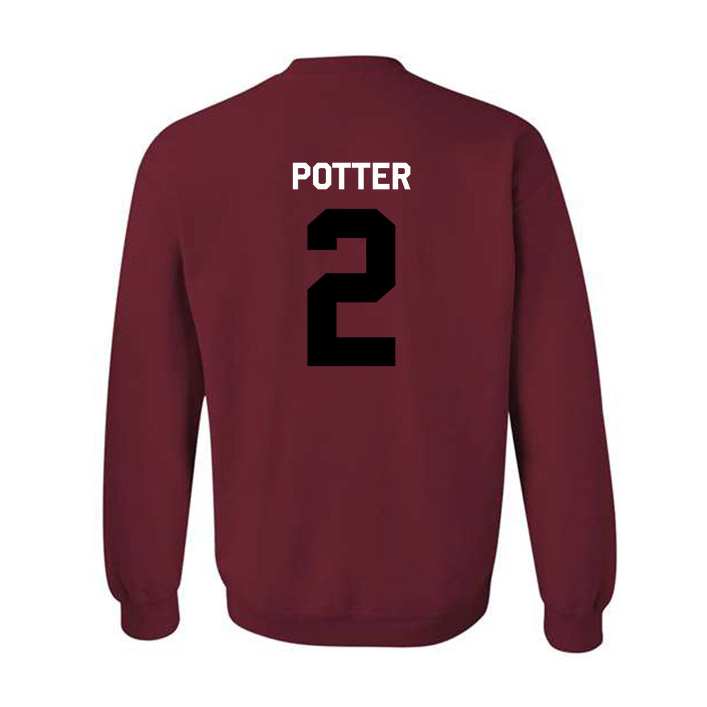 South Carolina - NCAA Softball : Dakota Potter - Classic Shersey Crewneck Sweatshirt-1
