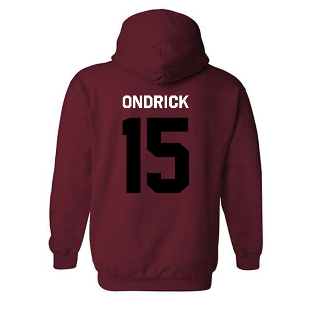 South Carolina - NCAA Softball : Jillian Ondrick - Classic Shersey Hooded Sweatshirt-3