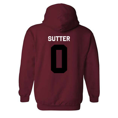 South Carolina - NCAA Baseball : Logan Sutter - Classic Shersey Hooded Sweatshirt-1