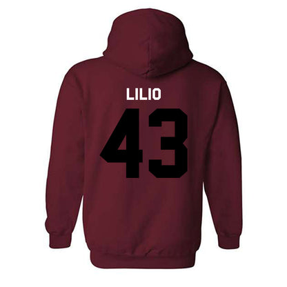 South Carolina - NCAA Softball : Quincee Lilio - Classic Shersey Hooded Sweatshirt-1