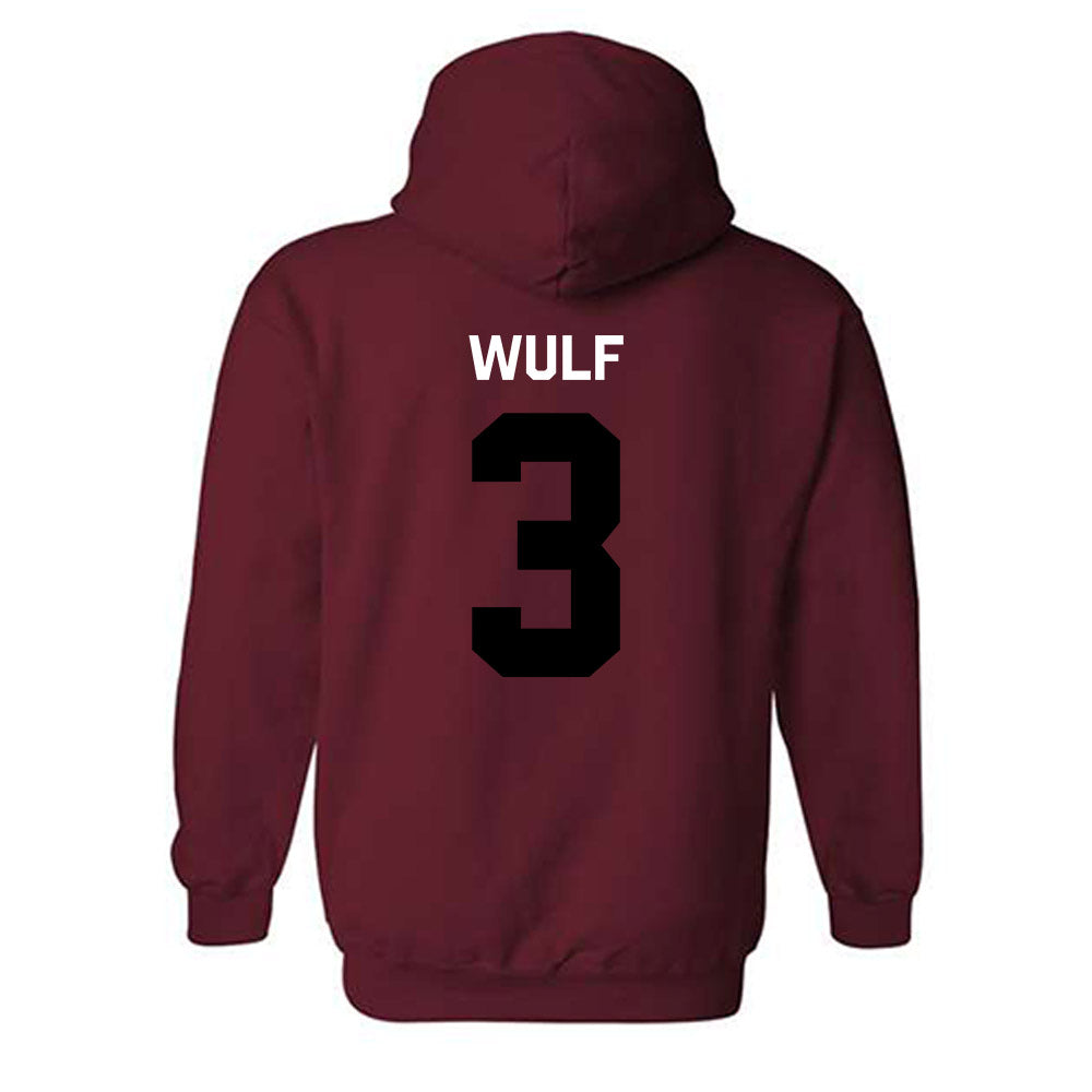 South Carolina - NCAA Softball : Hannah Wulf - Classic Shersey Hooded Sweatshirt-3