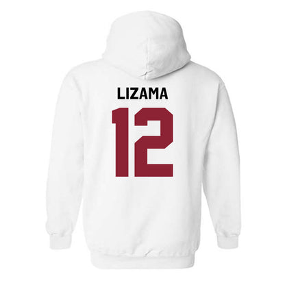 South Carolina - NCAA Baseball : Ethan Lizama - Classic Shersey Hooded Sweatshirt-1