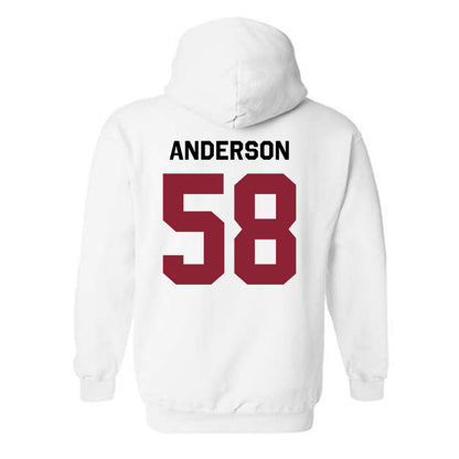 South Carolina - NCAA Football : Markee Anderson - Classic Shersey Hooded Sweatshirt-1