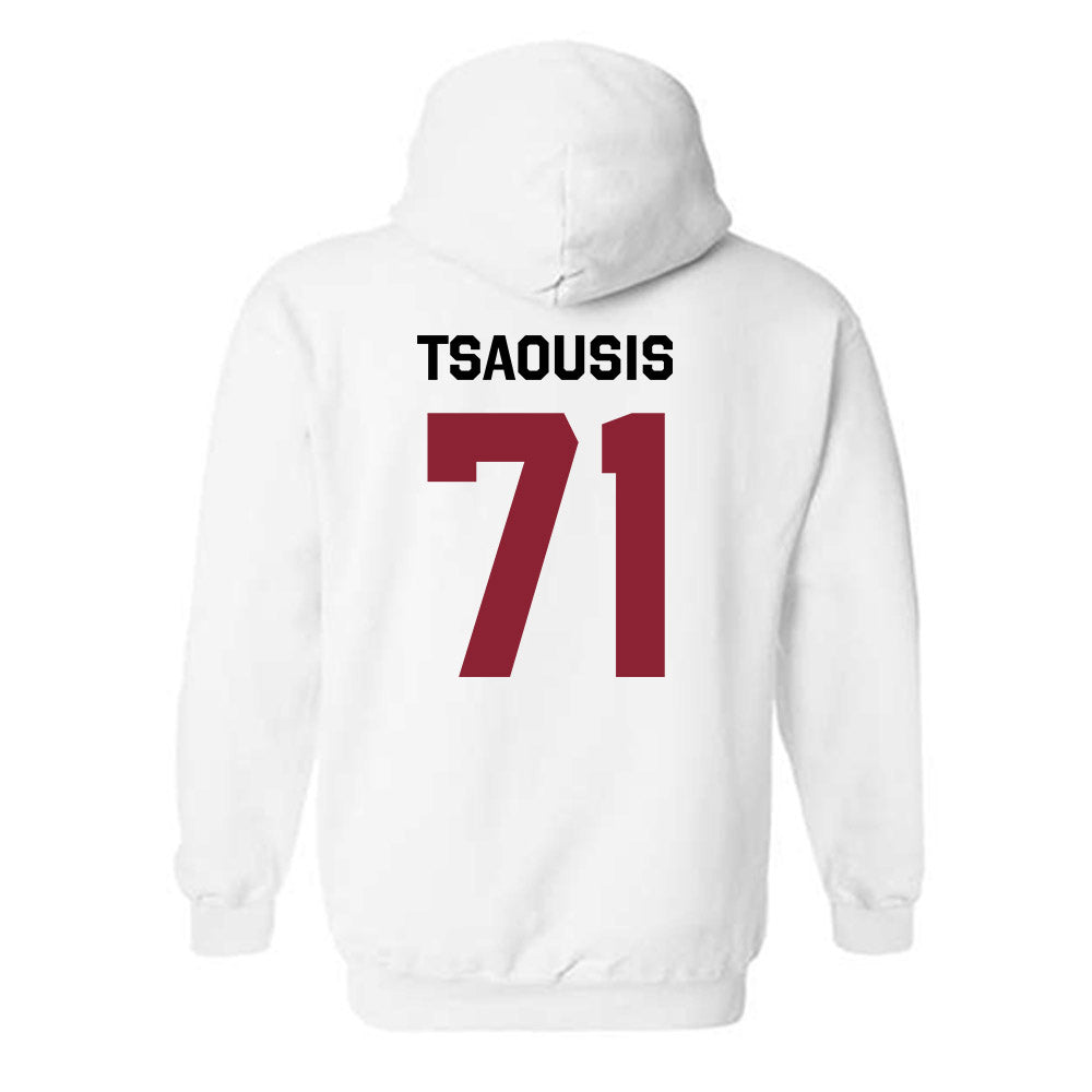 South Carolina - NCAA Women's Soccer : Christina Tsaousis - Classic Shersey Hooded Sweatshirt-1