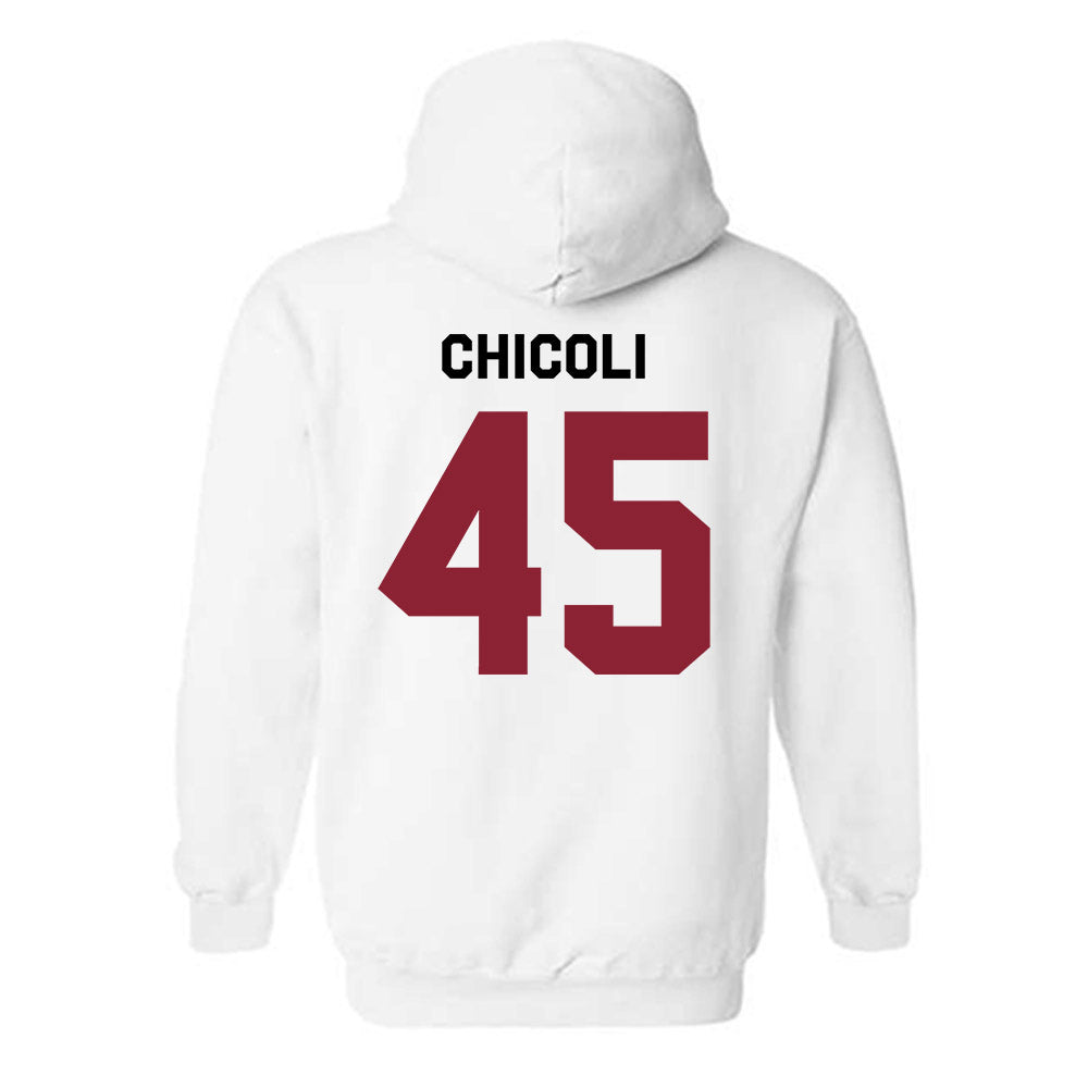 South Carolina - NCAA Baseball : Connor Chicoli - Classic Shersey Hooded Sweatshirt-1