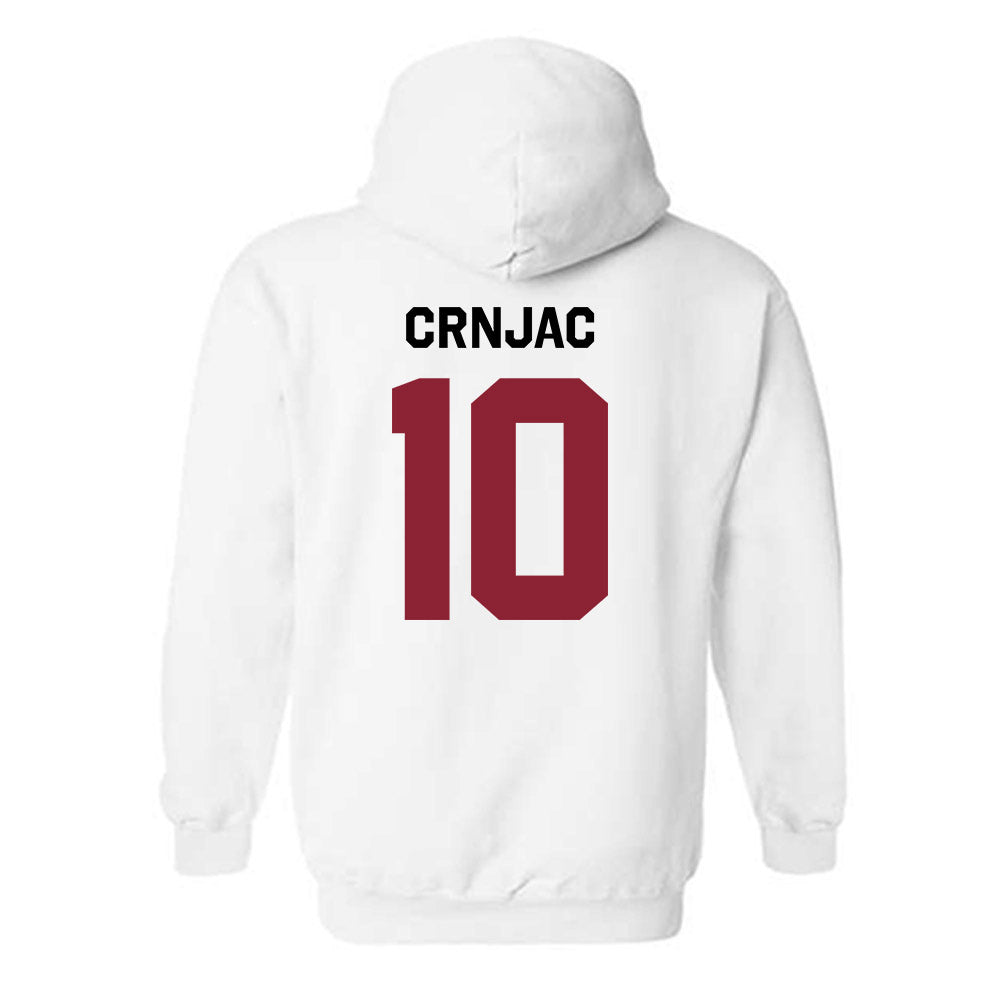 South Carolina - NCAA Women's Volleyball : Madi Crnjac - Classic Shersey Hooded Sweatshirt-2